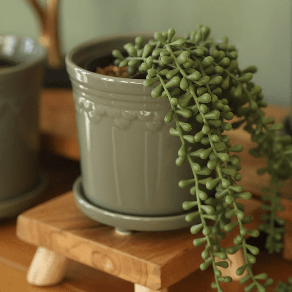 Health & Beauty - Detail Shot